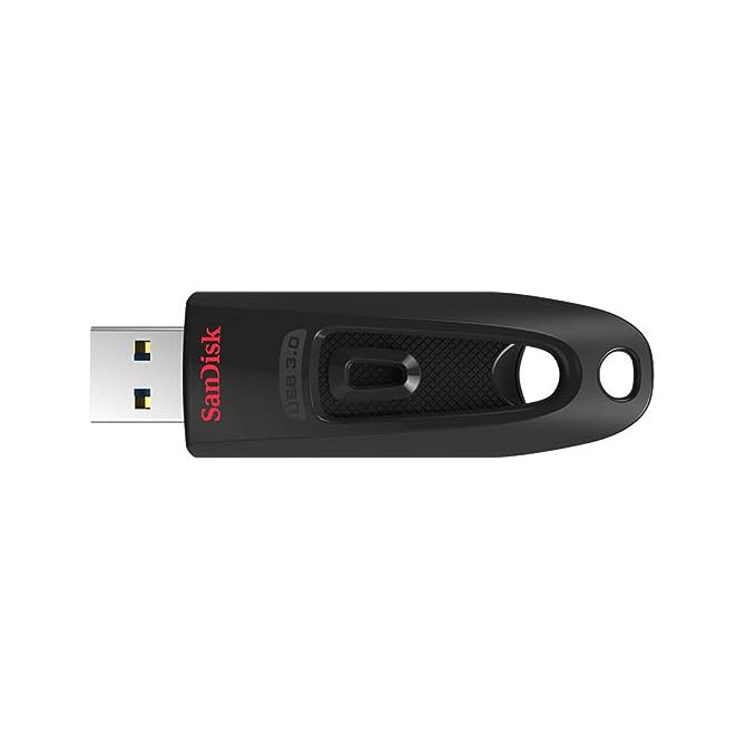 sandisk 1