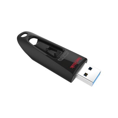 sandisk 2